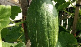 花花娱乐圈吃瓜,揭秘明星幕后那些事儿