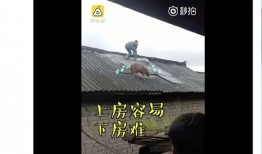 我要上头条爆料娱乐圈,我要上头条爆料大揭秘！